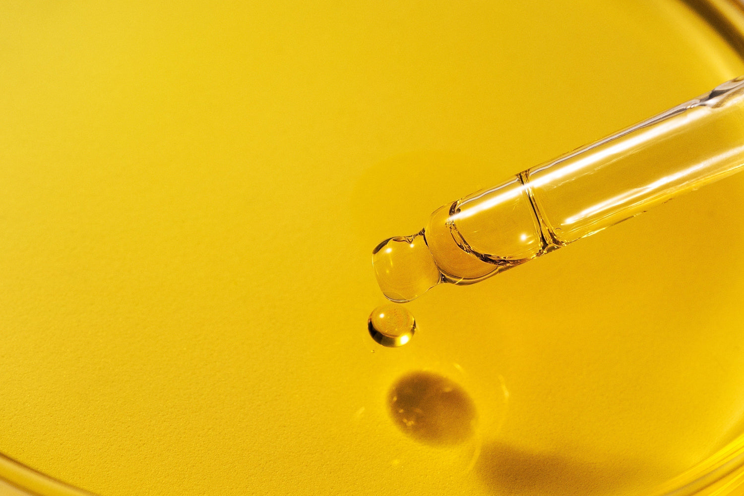 CBD Doesn’t Get You High — It’s made from Hemp